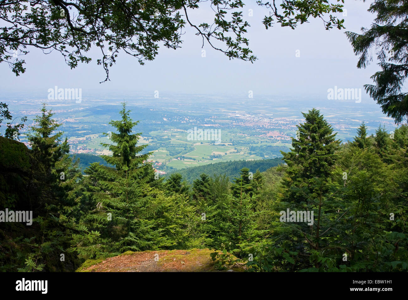 Vista dal Mont Sainte-Odile a della pianura del Reno superiore, Francia, Bas-Rhin, Alsazia, Mont Sainte-Odile Foto Stock