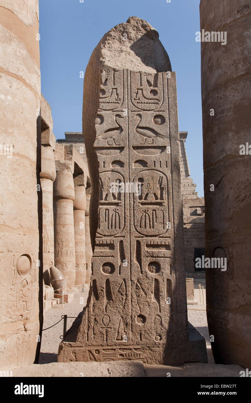 Stela con geroglifici del tempio di Luxor, EGITTO Luxor Foto Stock