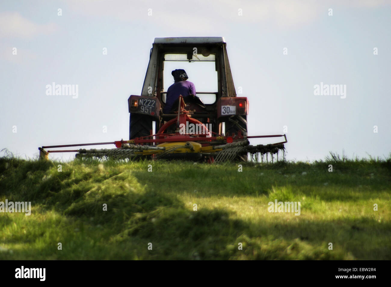 Il trattore dal foraggio verde raccolto, Austria Foto Stock