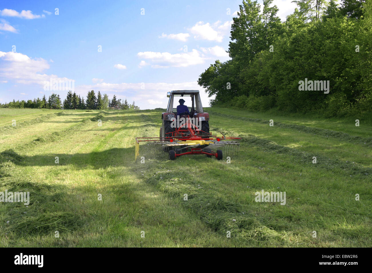 Il trattore dal foraggio verde raccolto, Austria Foto Stock