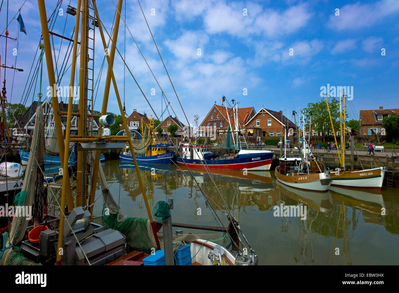 Gamberetti in porto, Germania, Bassa Sassonia, Neuharlingersiel Foto Stock