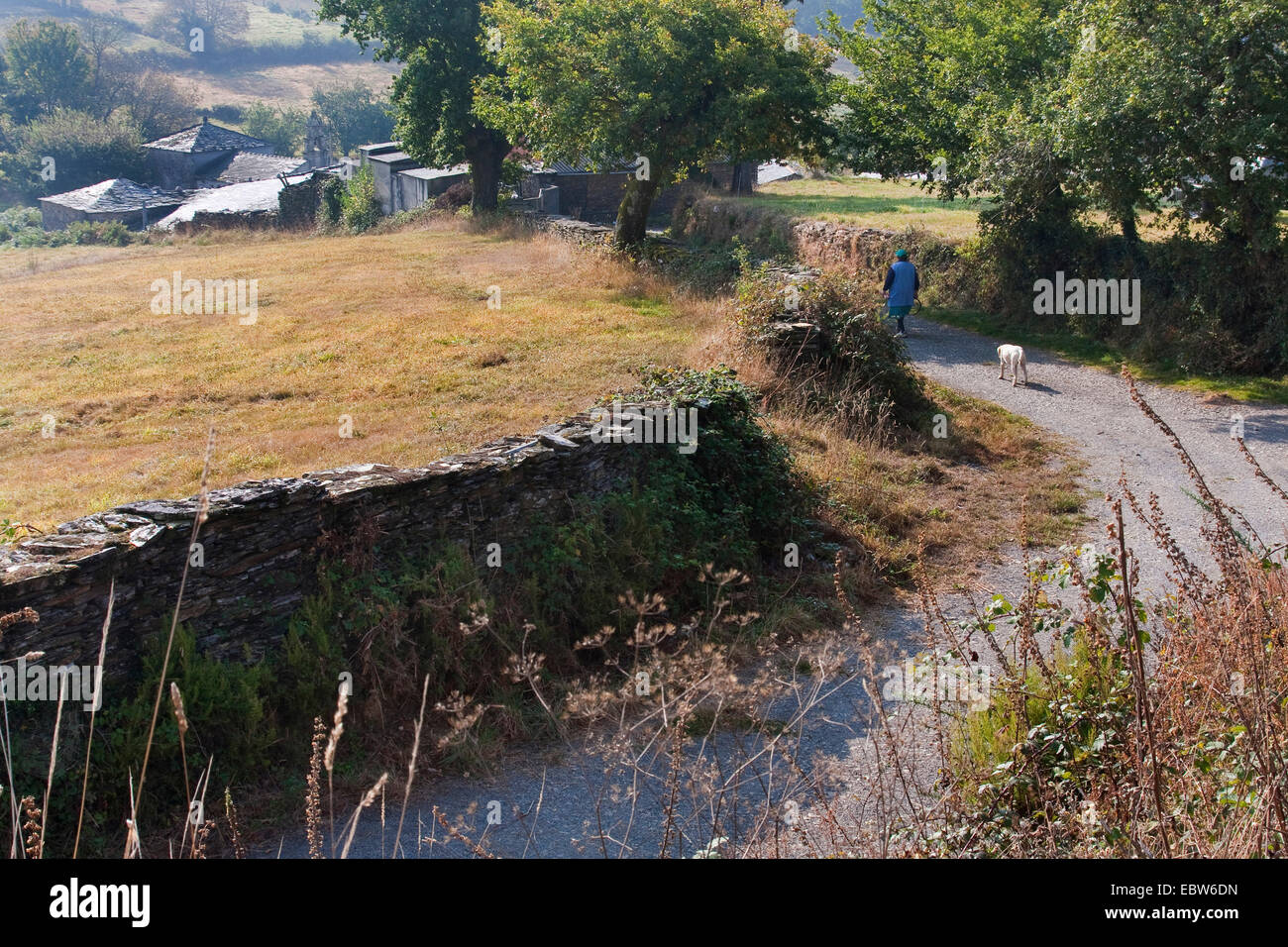 Countrywoman con il cane sul cammino verso la loro azienda agricola a titolo di Sant James, Spagna Galizia, Lugo, Sanxil Foto Stock