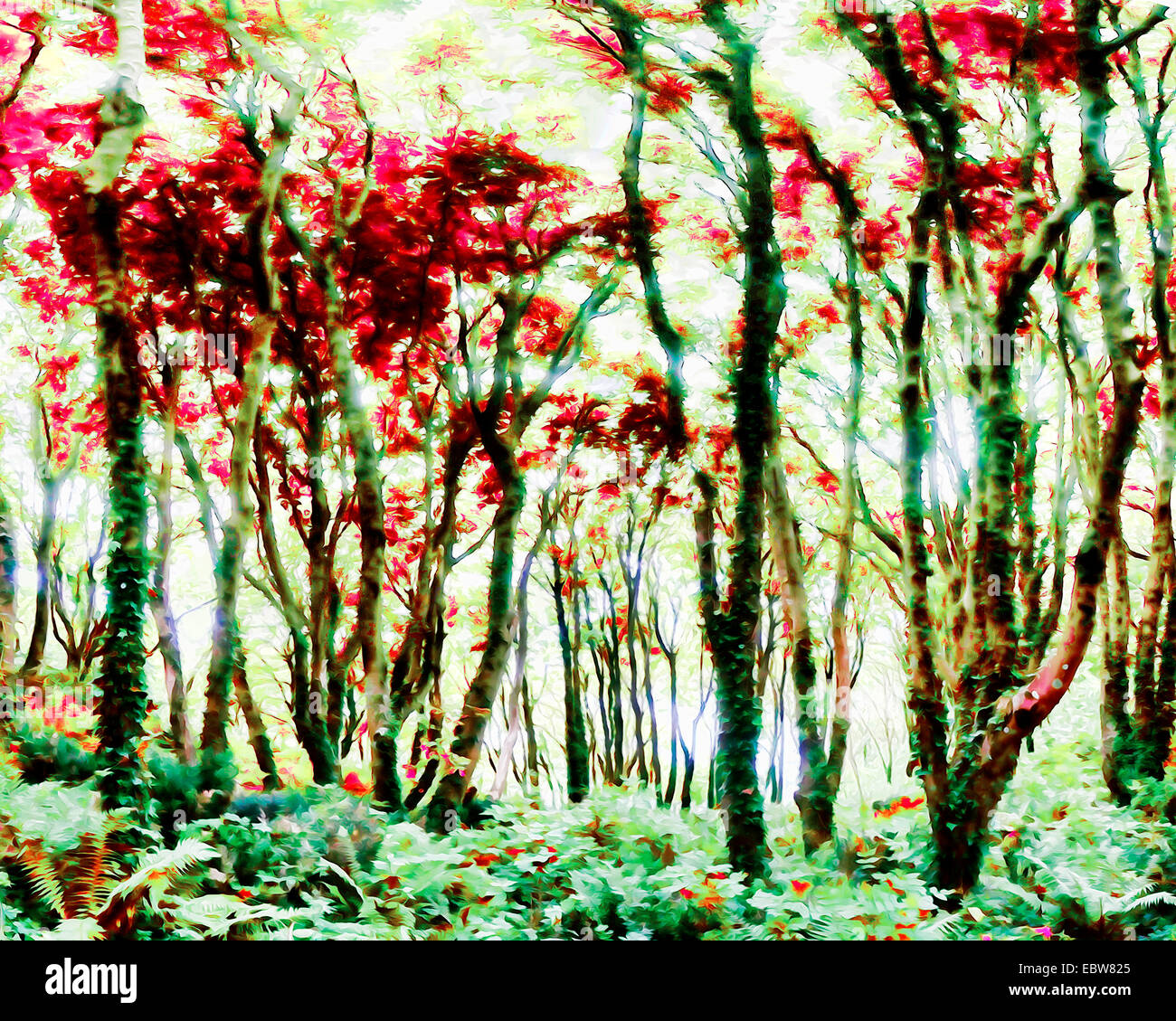 Arte digitale: il Grove - Elberry e boschi Marridge nr. Brixham, Devon, Inghilterra Foto Stock