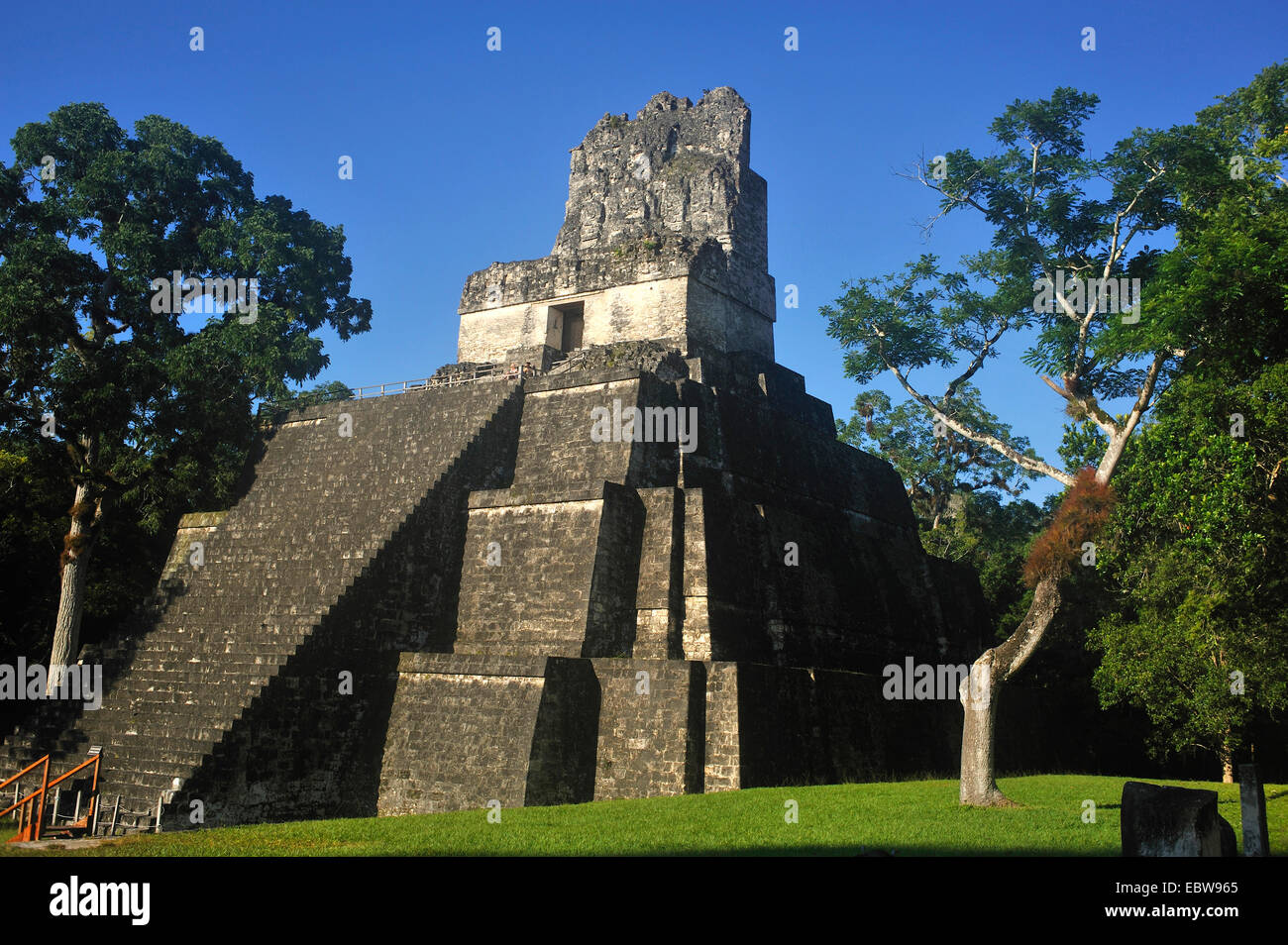 Pyramid presso la piazza principale della città maya di Tikal, Guatemala, Tikal Foto Stock