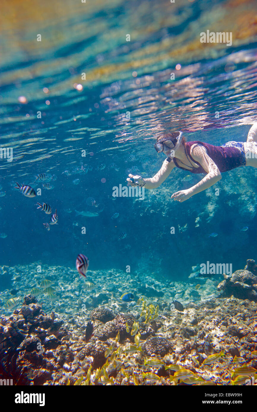 Una donna per fare snorkelling e per scattare le foto Foto Stock