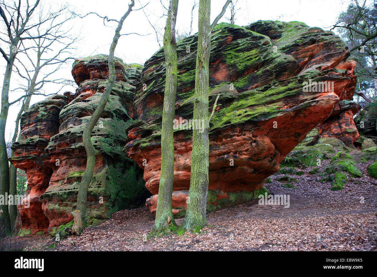 Red formazione di arenaria, in Germania, in Renania settentrionale-Vestfalia, Naturdenkmal Katzensteine, Mechernich Foto Stock