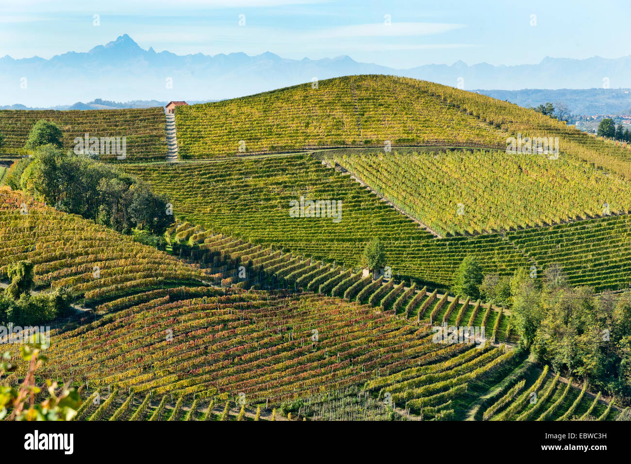 L'Italia, panorama di vigneti del Piemonte: Langhe-Roero e Monferrato nella Lista del Patrimonio Mondiale UNESCO Foto Stock