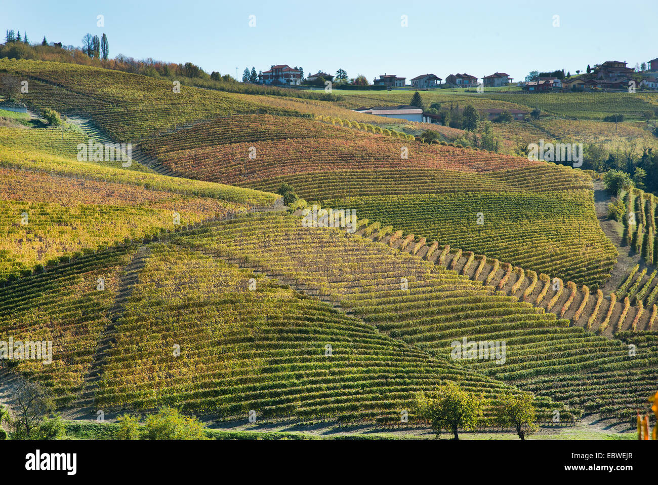 L'Italia,panorama di vigneti del Piemonte: Langhe-Roero e Monferrato nella Lista del Patrimonio Mondiale UNESCO Foto Stock