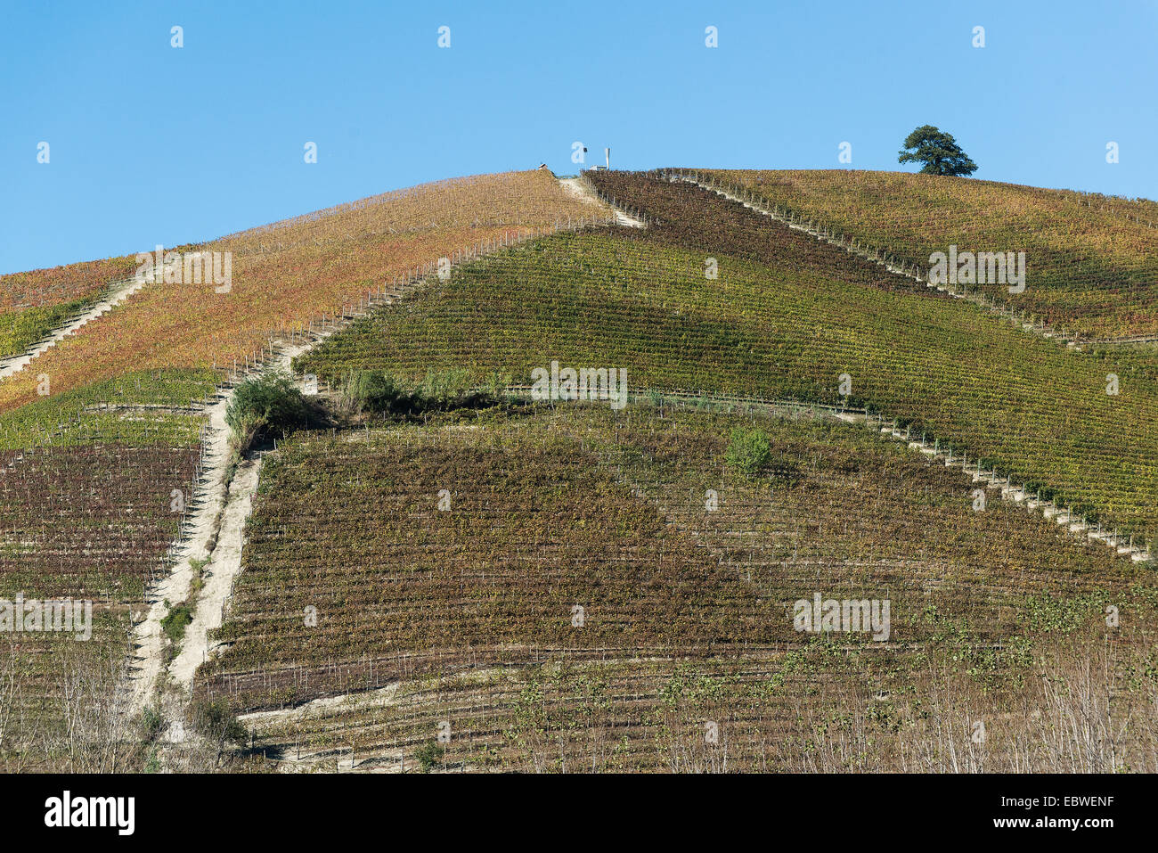L'Italia,panorama di vigneti del Piemonte: Langhe-Roero e Monferrato nella Lista del Patrimonio Mondiale UNESCO Foto Stock