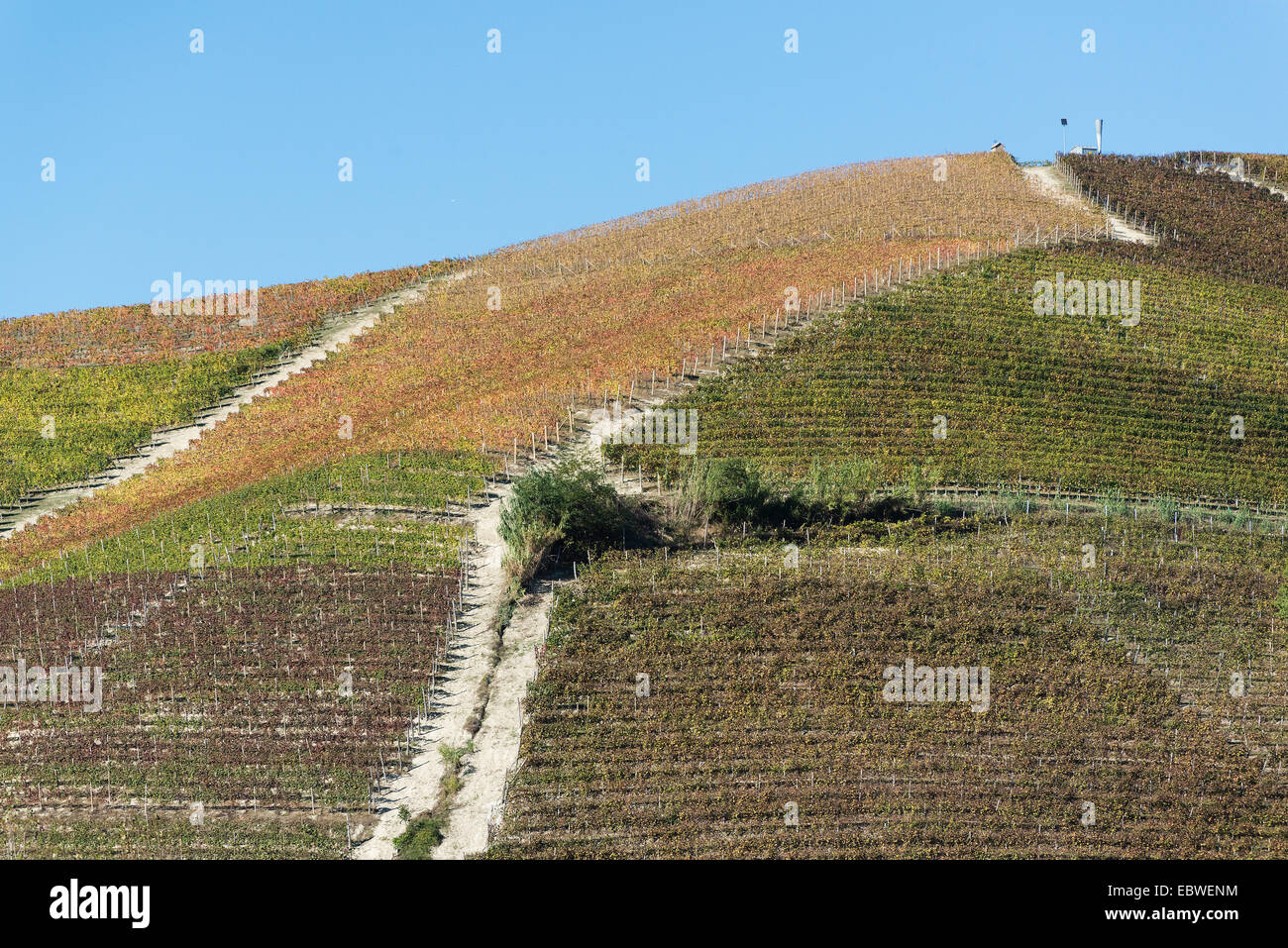 L'Italia,panorama di vigneti del Piemonte: Langhe-Roero e Monferrato nella Lista del Patrimonio Mondiale UNESCO Foto Stock