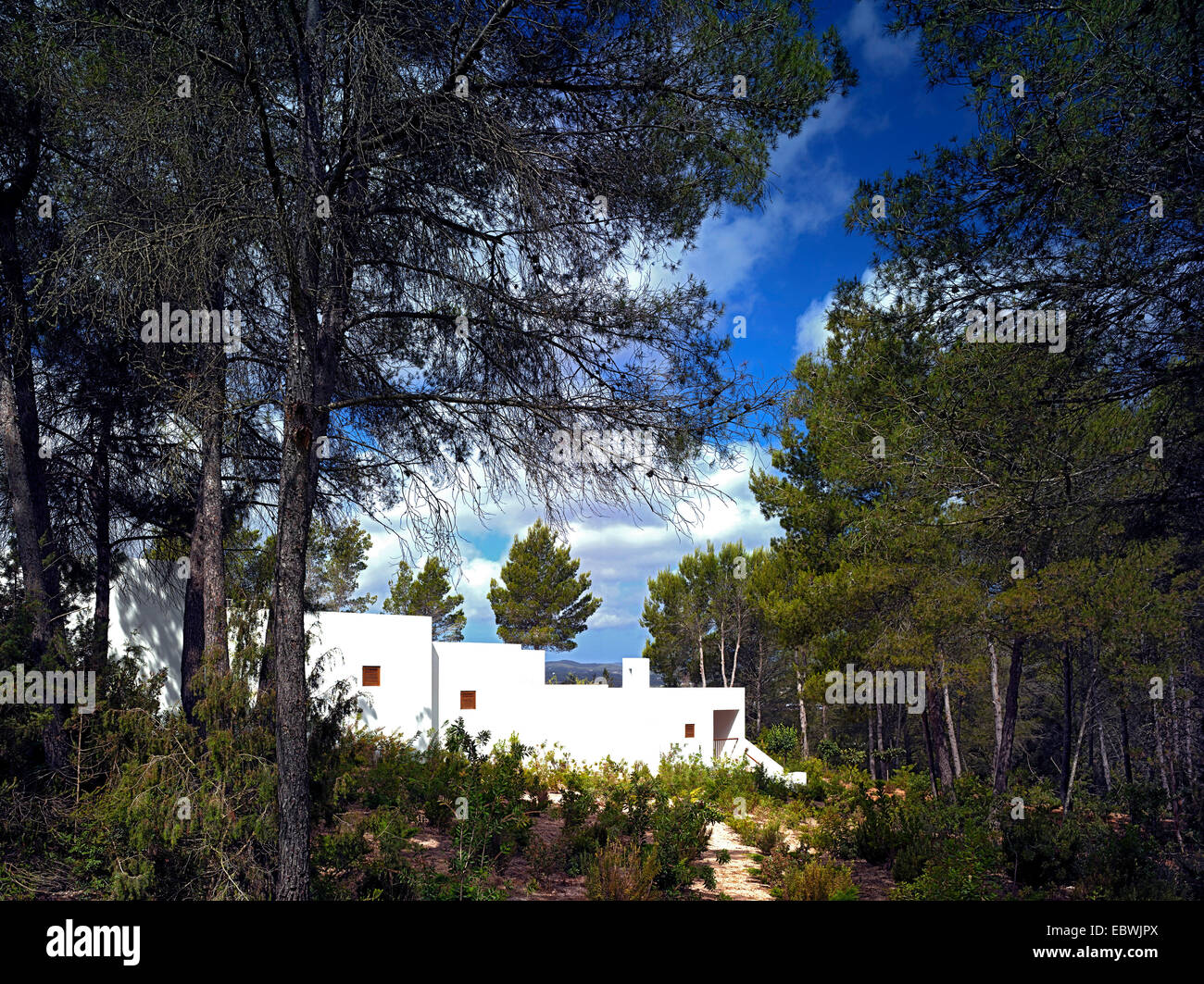 Casa privata, Valle Morna Ibiza, Spagna. Architetto: de Blacam & Meagher, 2013. Vista attraverso i pini dalla soutwest. Foto Stock