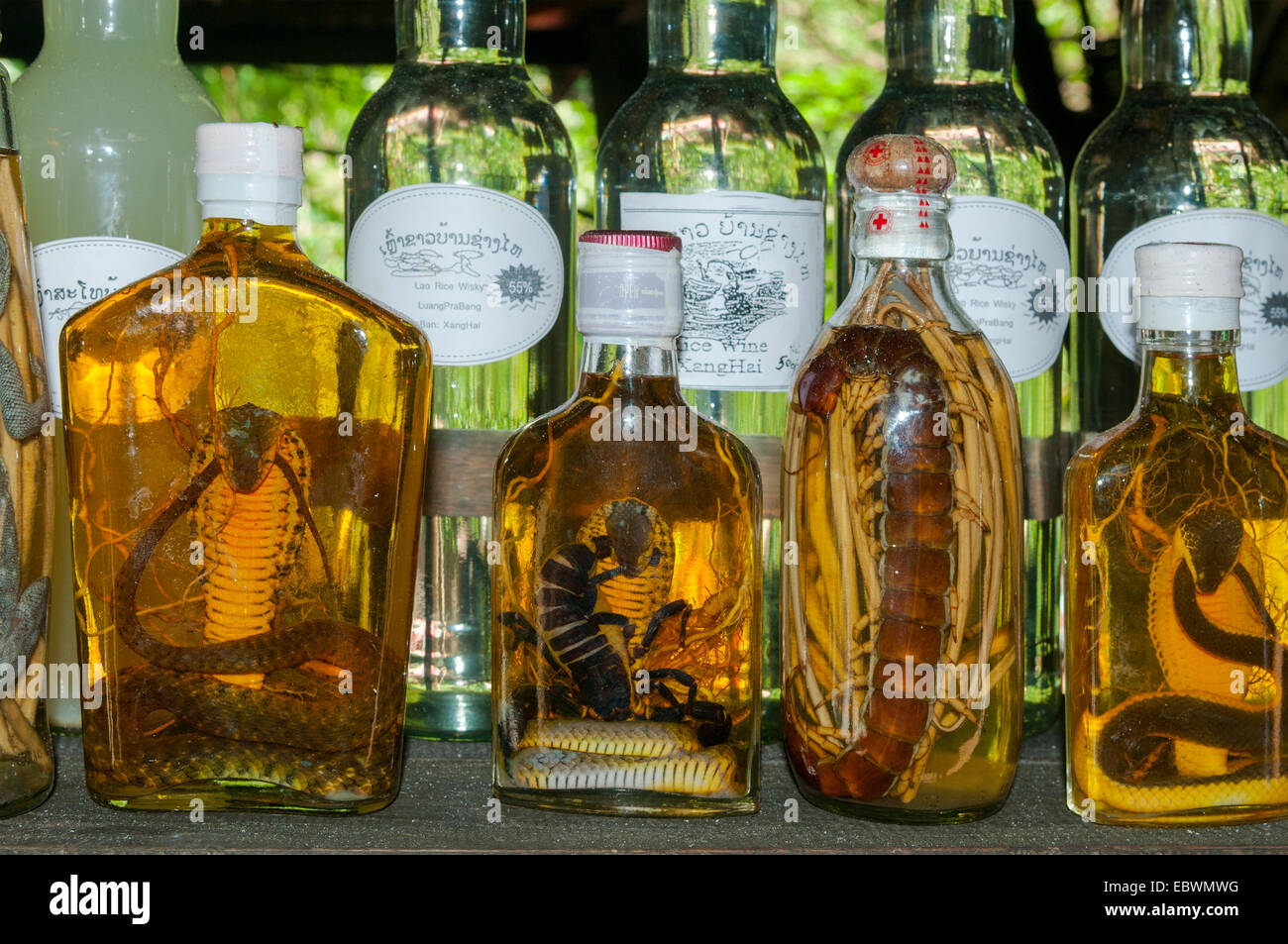 I serpenti del riso le bottiglie di vino, ha cantato, Laos Foto Stock