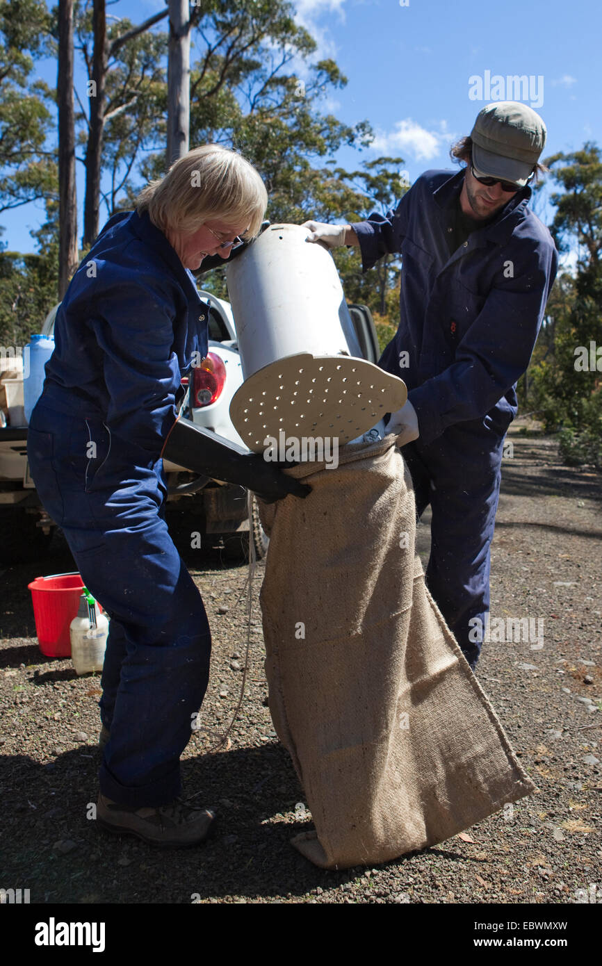 Biologo Lee ha attirato dal volontario e Moira Graham di salvare il diavolo Tassie programma Foto Stock