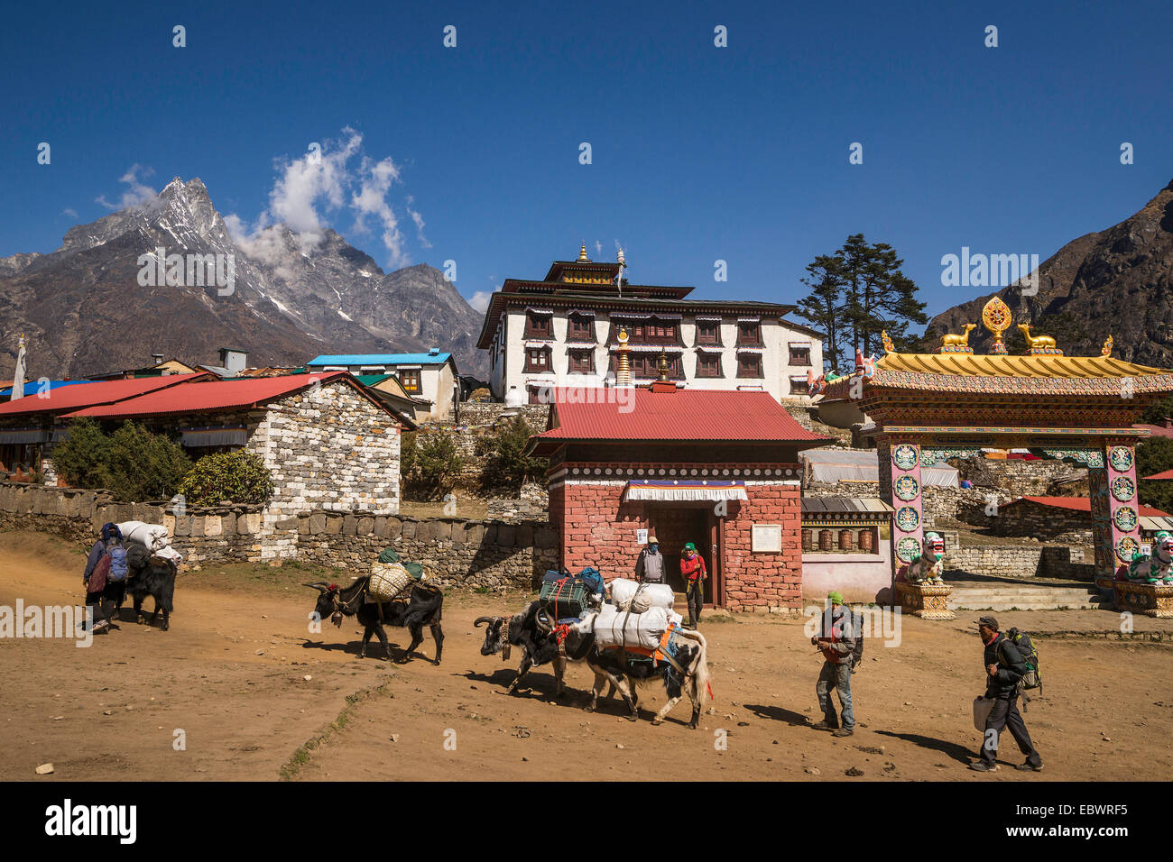 Laden yak e gli sherpa davanti al monastero di Tengboche, Khumbu, Solukhumbu quartiere, Everest Regione, Nepal Foto Stock