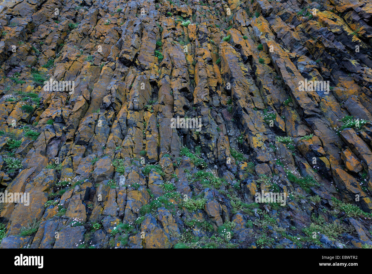 Colonne di basalto in Stykkishólmur, Snaefellsnes peninsula, Vesturland, Islanda Foto Stock
