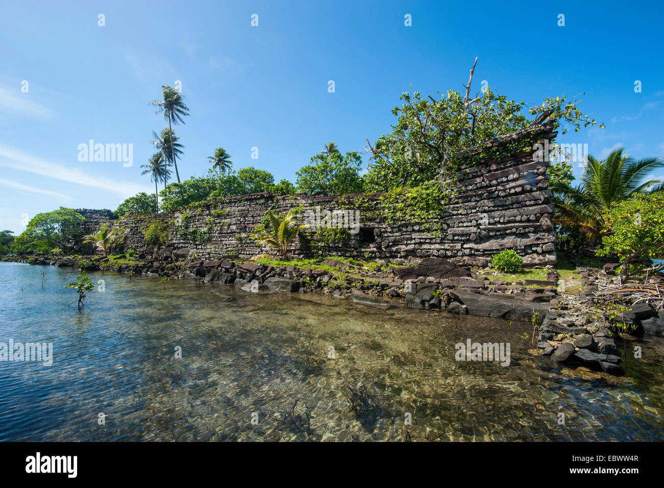 Le rovine della città antica di Nan Madol, Pohnpei, Isole Caroline, Micronesia, Pacifico centrale Foto Stock
