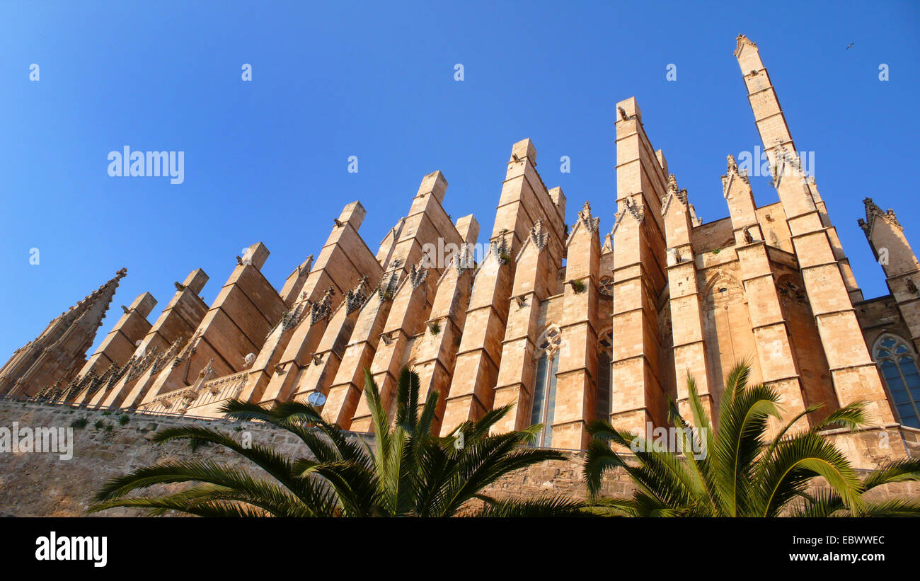 La cattedrale di Palma, dettaglio, Spagna, Balearen, Mallorca, Palma Foto Stock