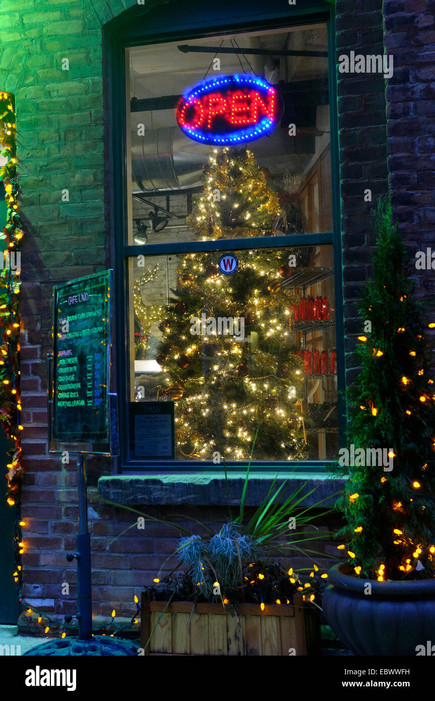 Aprire cafe con un albero di Natale in una fredda notte invernale, Canada Ontario, Toronto Foto Stock