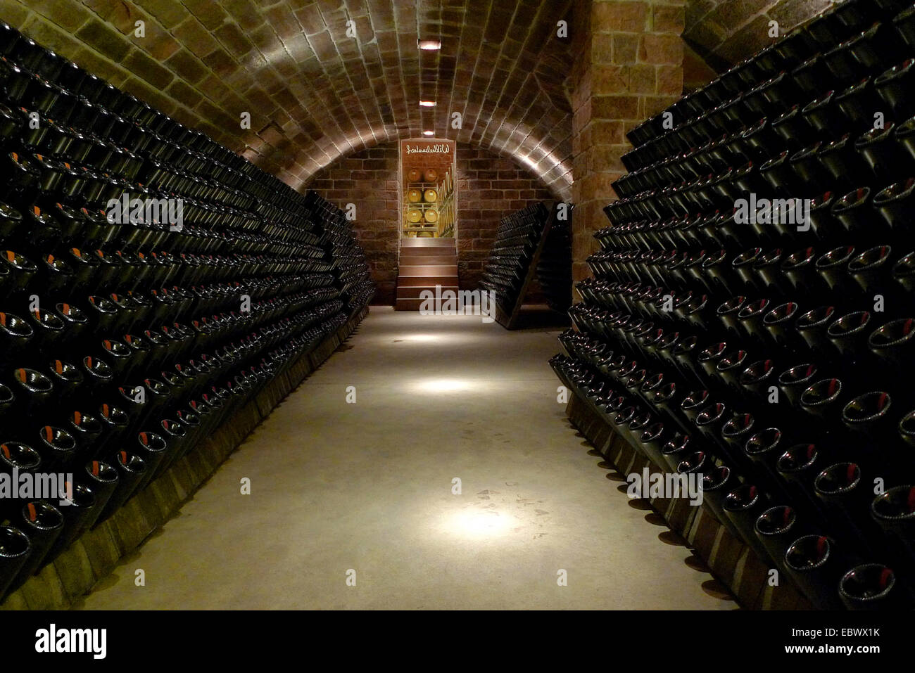 Locale di stoccaggio delle bottiglie di champagne in cantina, in Germania, in Renania Palatinato Foto Stock