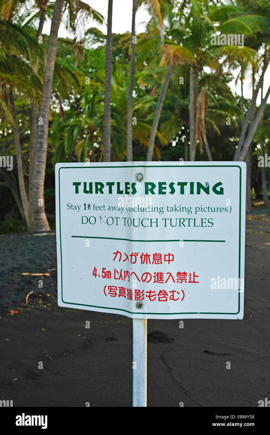 "Tartarughe in appoggio' informazioni segno, STATI UNITI D'AMERICA, Hawaii, Punaluu Beach Foto Stock