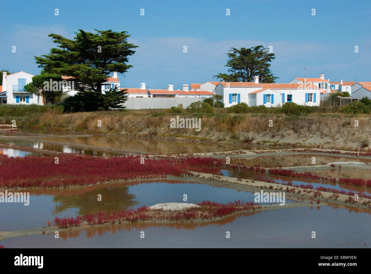 Vista da una collina su 'Salt giardini", i campi per l'estrazione del sale vicino Luzay, Francia, Vendee, Noirmoutier, Luzay Foto Stock