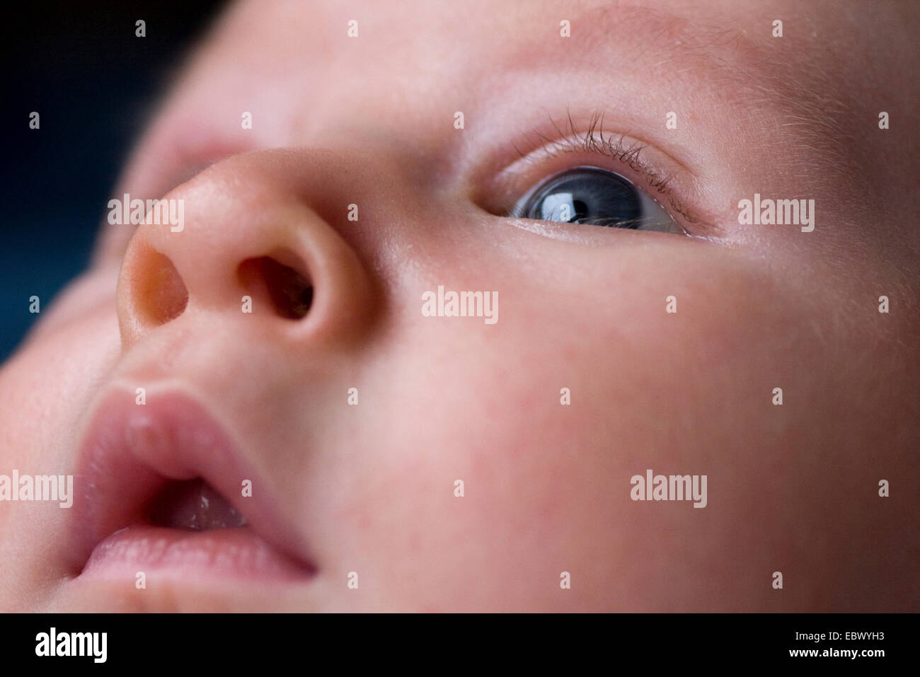 Baby ritratto, 1 mese Foto Stock