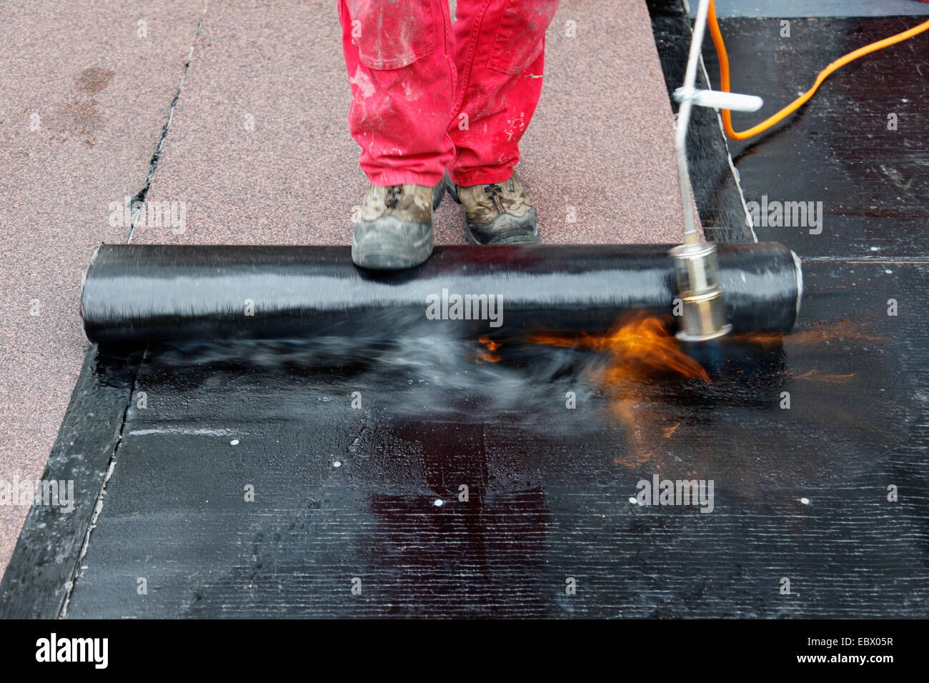 Posa sulla carta di catrame Foto Stock