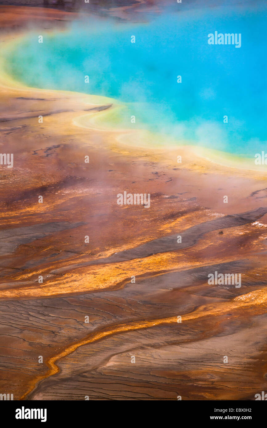Il vapore erutta da Grand Prismatic Spring, il Parco Nazionale di Yellowstone, Wyoming. La sorgente calda più grande negli Stati Uniti, Foto Stock