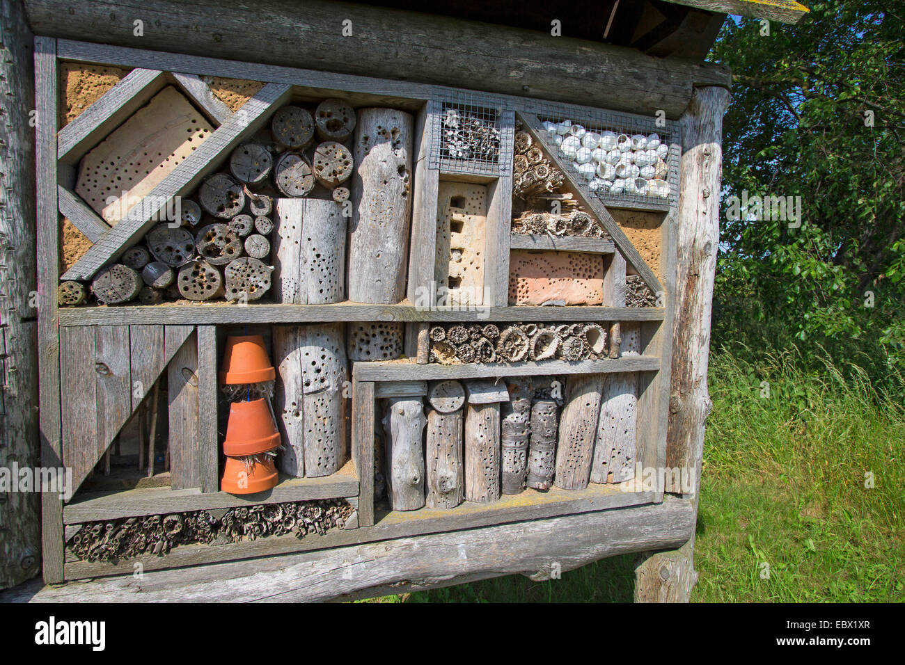 Hotel di insetto realizzato da reed steli, pezzi di legno con fori, pietre con fori e argilla, Germania Foto Stock