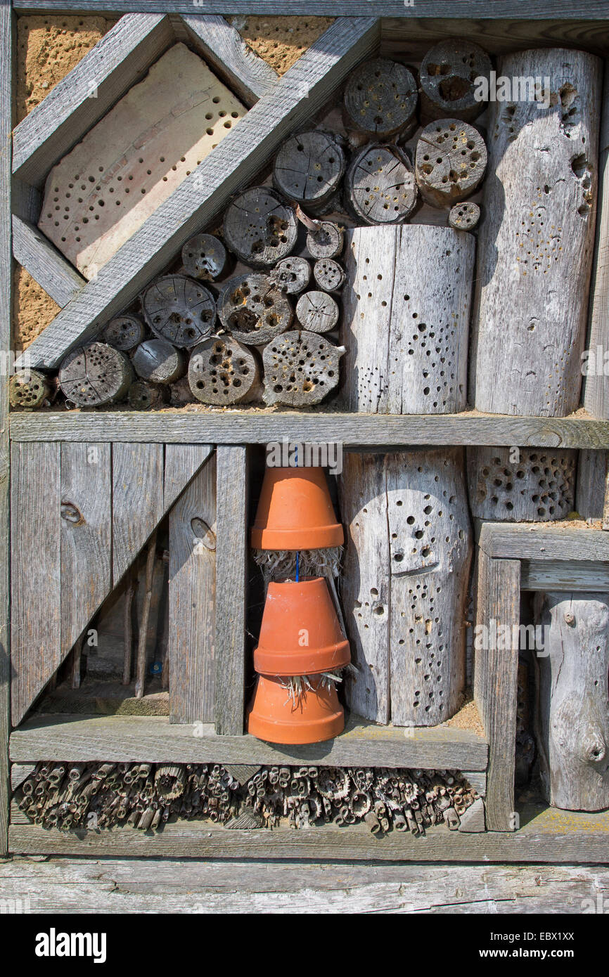 Hotel di insetto realizzato da reed steli, pezzi di legno con fori, pietre con fori e argilla, Germania Foto Stock