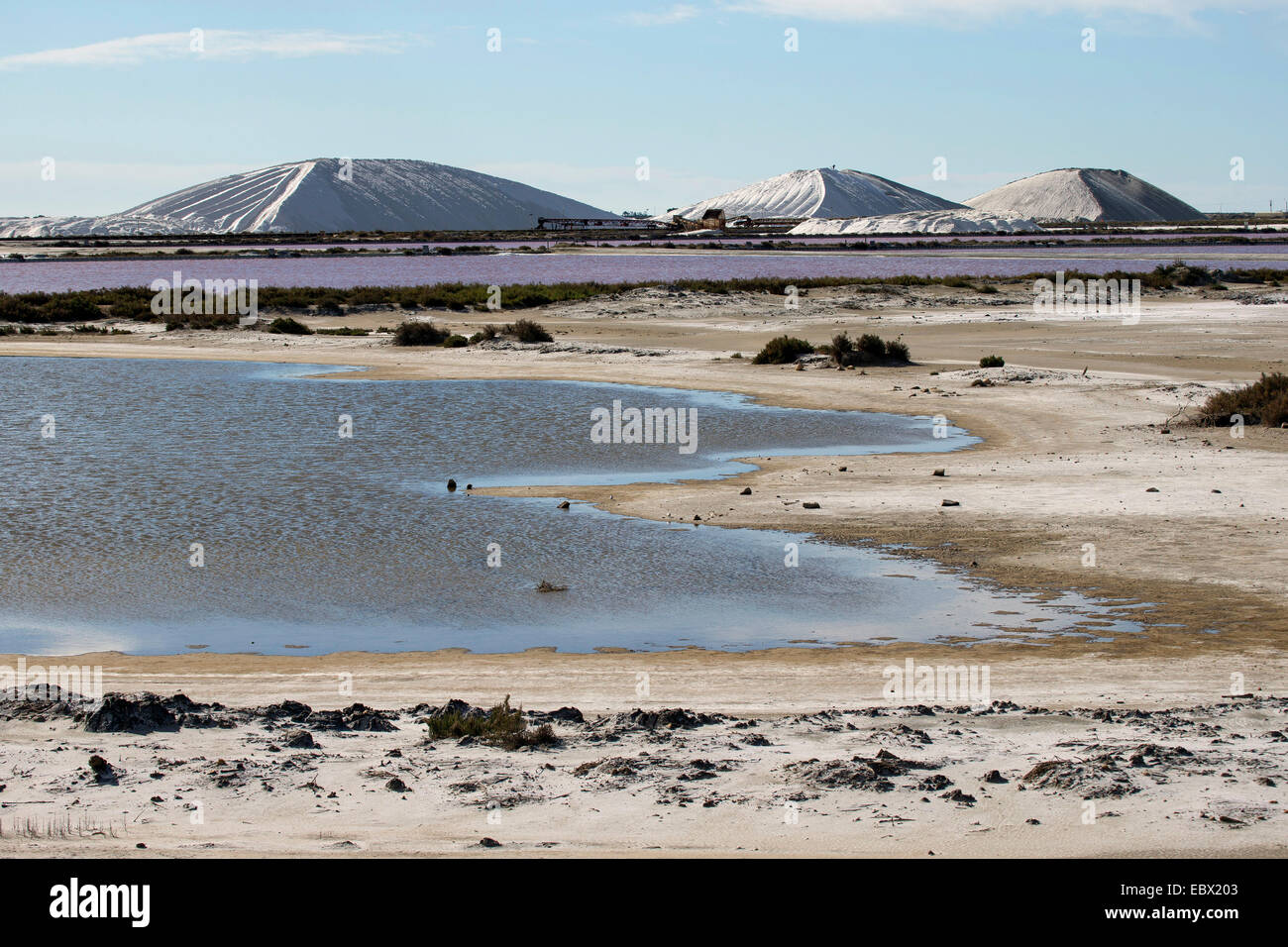 Mare per la produzione di sale nelle Saline di Salins-du-Midi, Francia, Aigues-Mortes, Camargue Foto Stock