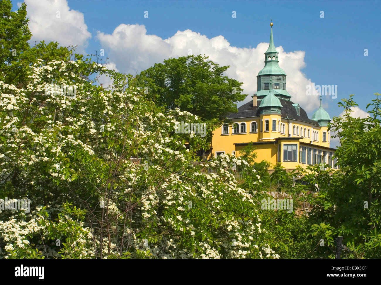 Spitzhaus nel vino valle vicino a Dresda, in Germania, in Sassonia, Dresden Foto Stock