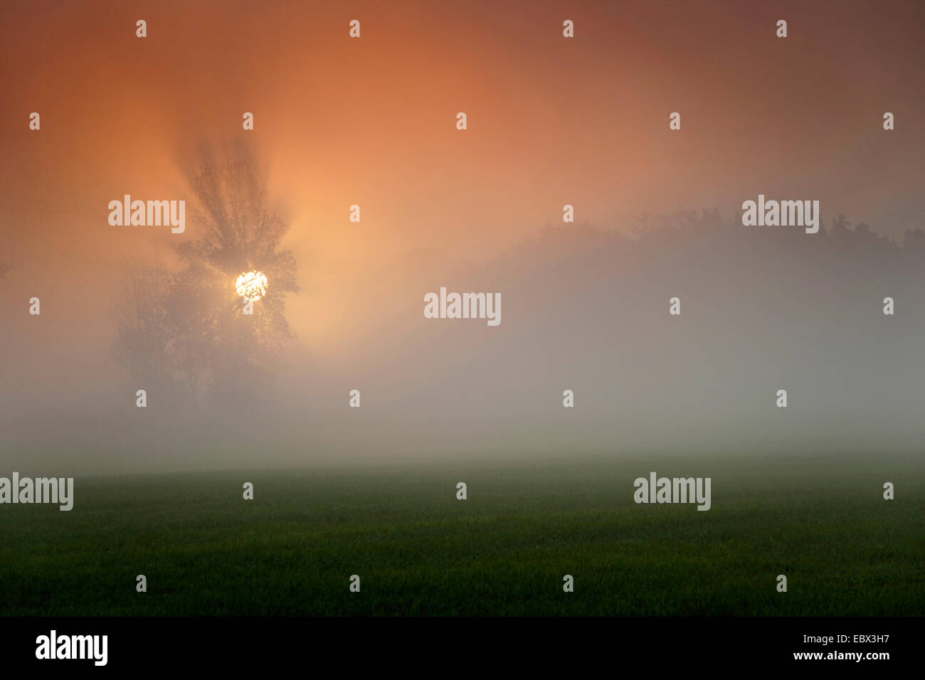 Nebbia di mattina in autunno, in Germania, in Sassonia, Vogtlaendische Schweiz Foto Stock