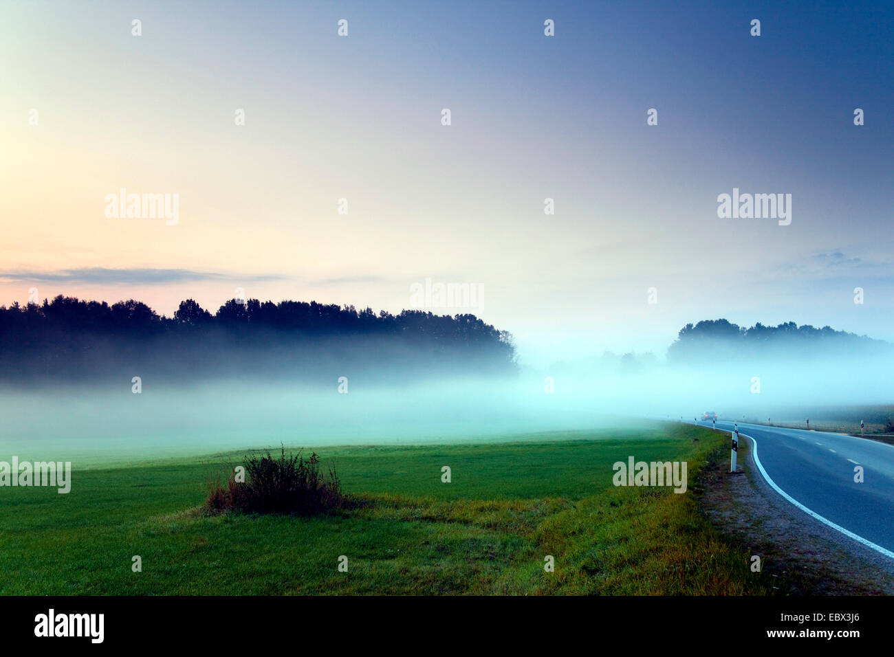 Nebbia di mattina su campi, in Germania, in Sassonia, Vogtlaendische Schweiz Foto Stock