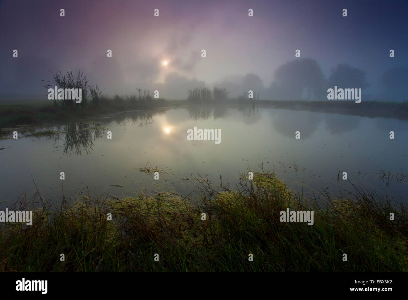 Sunrise nella nebbia di mattina al Lago Poehl, in Germania, in Sassonia, Vogtlaendische Schweiz Foto Stock