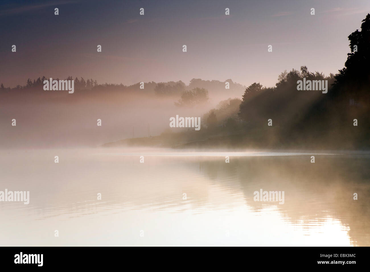 Tramonto su un lago di nebbia, in Germania, in Sassonia, Vogtlaendische Schweiz, Talsperre Poehl Foto Stock