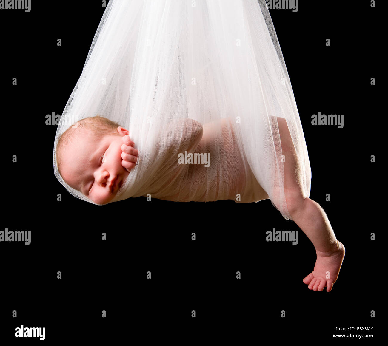 Stork Baby pacchetto. 14 giorni di età neonato ragazza portati in panno bianco Foto Stock