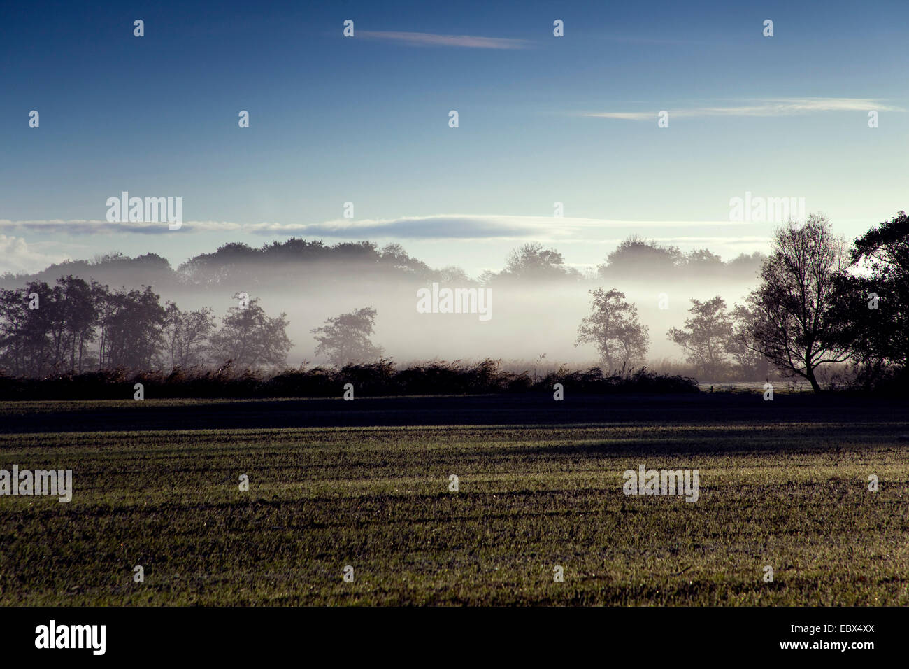 Nebbia di mattina su un campo in autunno, in Germania, in Sassonia, Vogtlaendische Schweiz Foto Stock