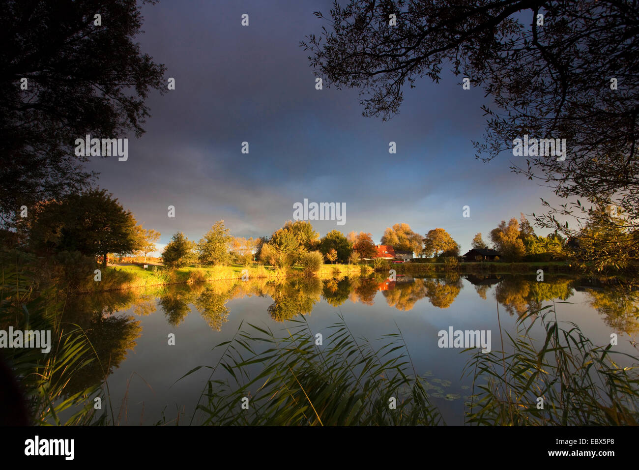 Sole che splende su una riva del lago attraverso un foro in una copertura nuvolosa, Germania, Bassa Sassonia, Vogtlaendische Schweiz, Dorum-Neufeld Foto Stock