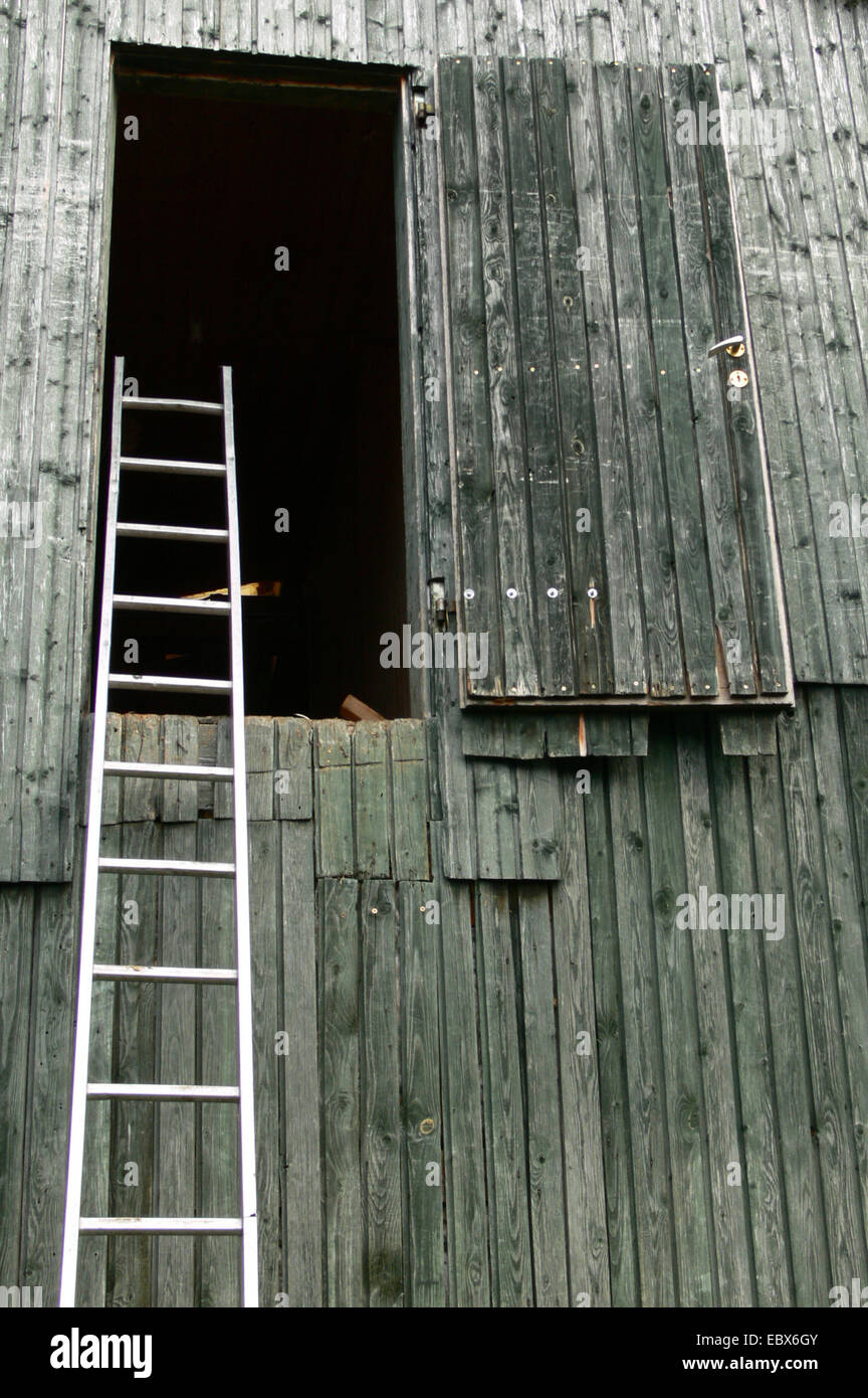 Scala contro la parete di un fienile Foto Stock