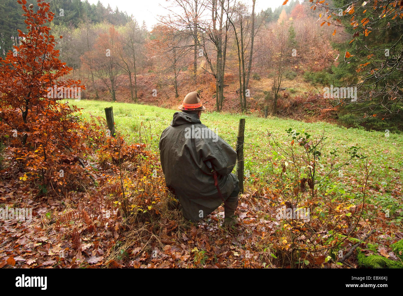 Hunter (shooter) seduti e in attesa con il fucile in mano durante un battue, Germania Foto Stock