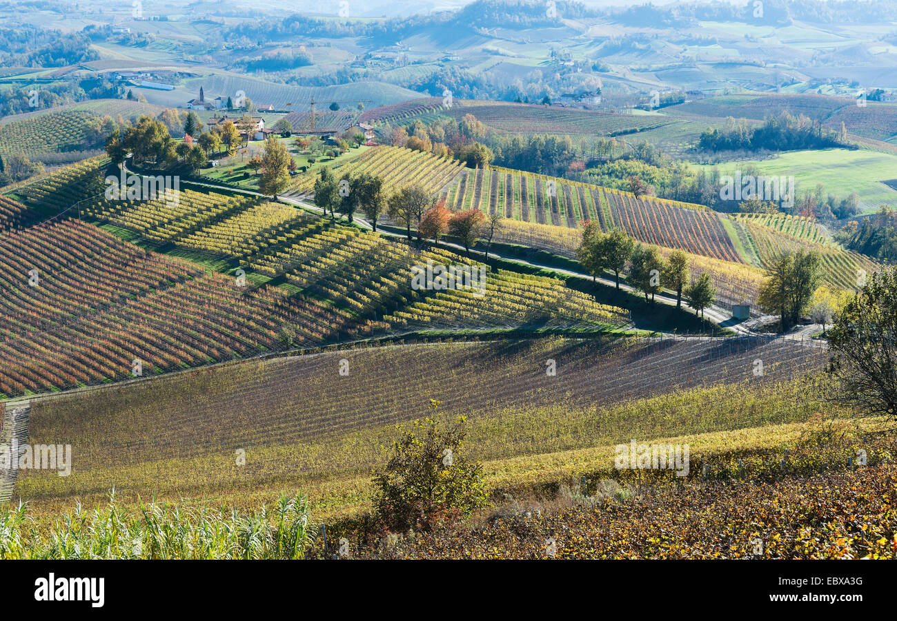 L'Italia, panorama di vigneti del Piemonte: Langhe-Roero e Monferrato nella Lista del Patrimonio Mondiale UNESCO Foto Stock