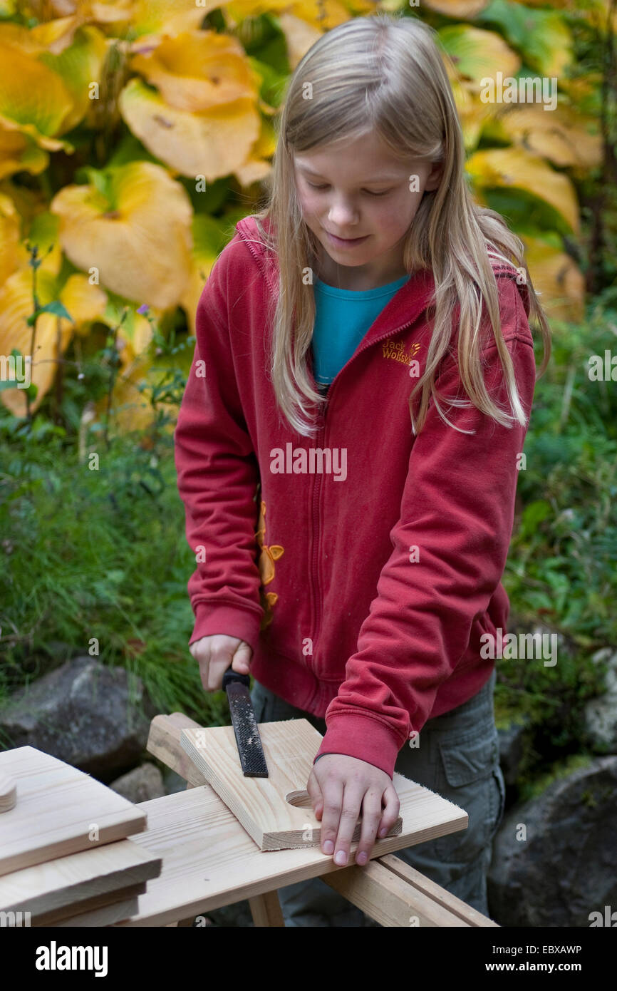 Costruzione di una scatola di nido. Ragazza utilizzando un file Foto Stock