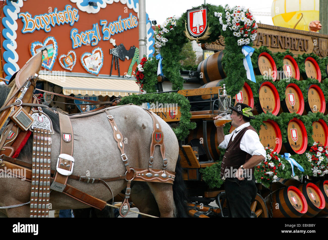Sfruttate il team di cavallo al Oktoberfest a Monaco di Baviera, Germania, il Land della Baviera, Muenchen Foto Stock
