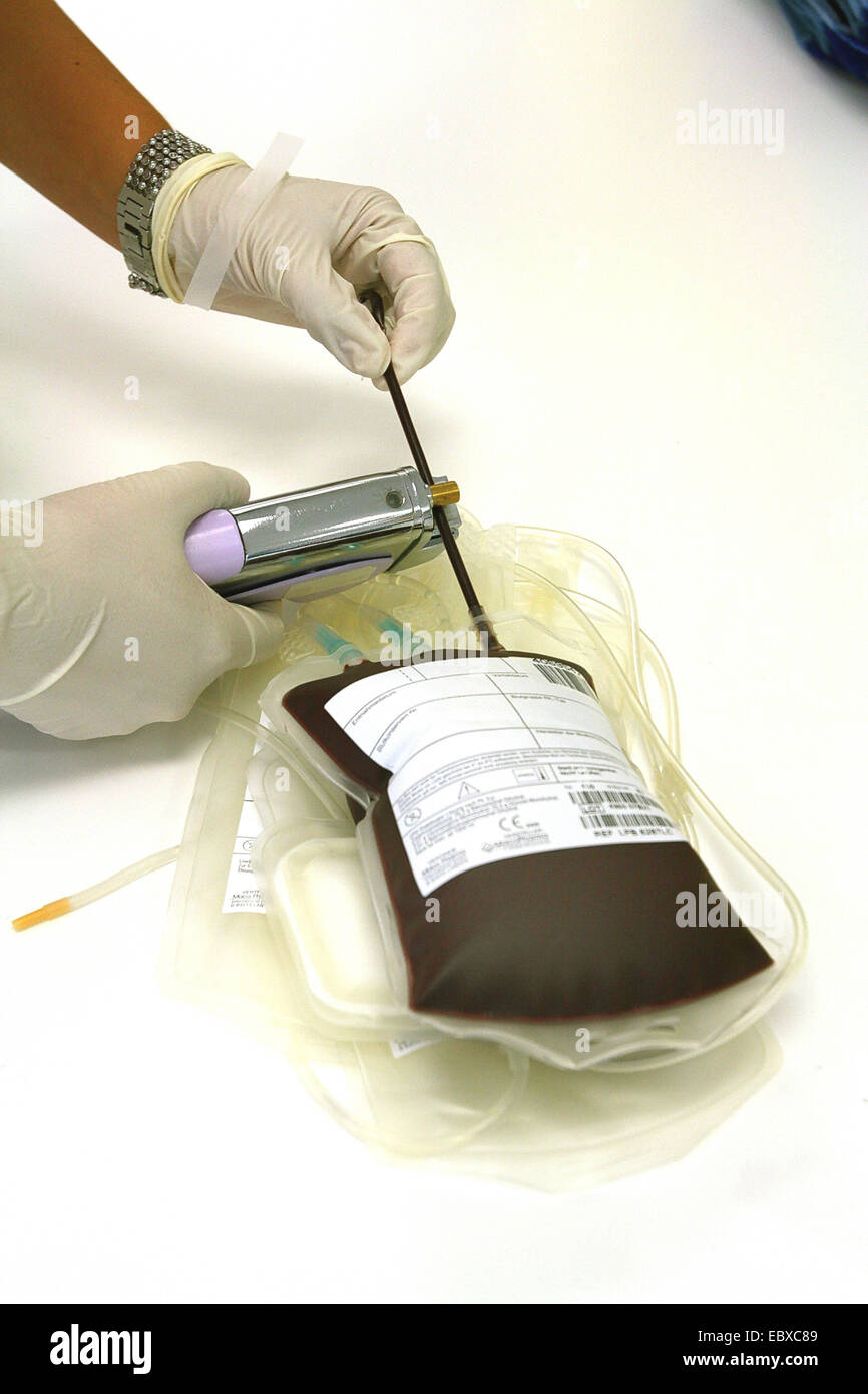 Le donazioni di sangue con la croce rossa, la saldatura della sacca di sangue Foto Stock