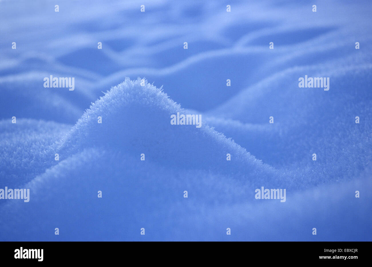 In inverno, il paesaggio invernale Foto Stock