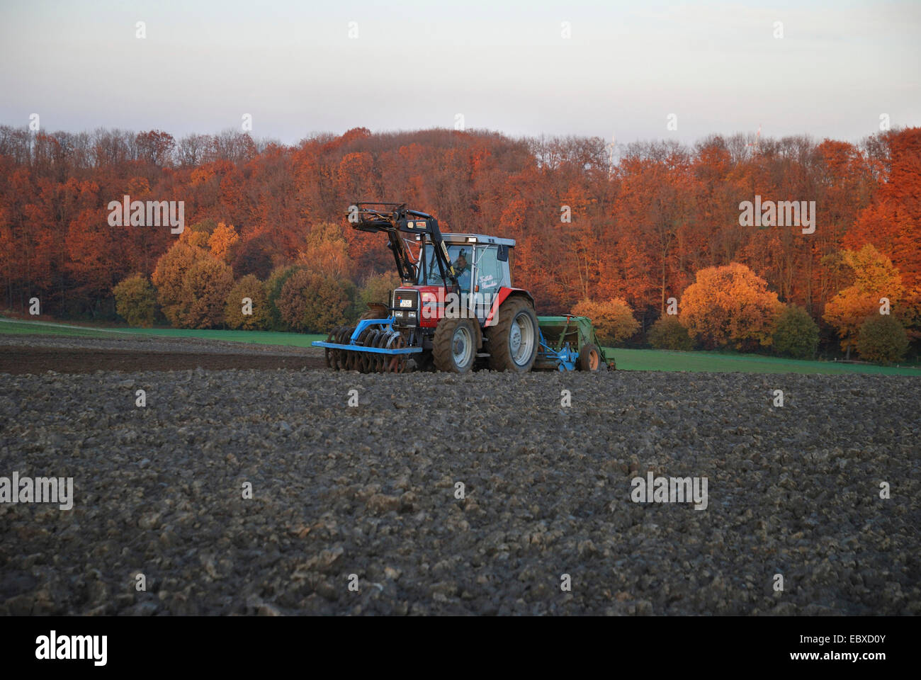 L'agricoltore nel trattore la semina di grano invernale, in Germania, in Renania settentrionale-Vestfalia, la zona della Ruhr, Castrop-Rauxel Foto Stock