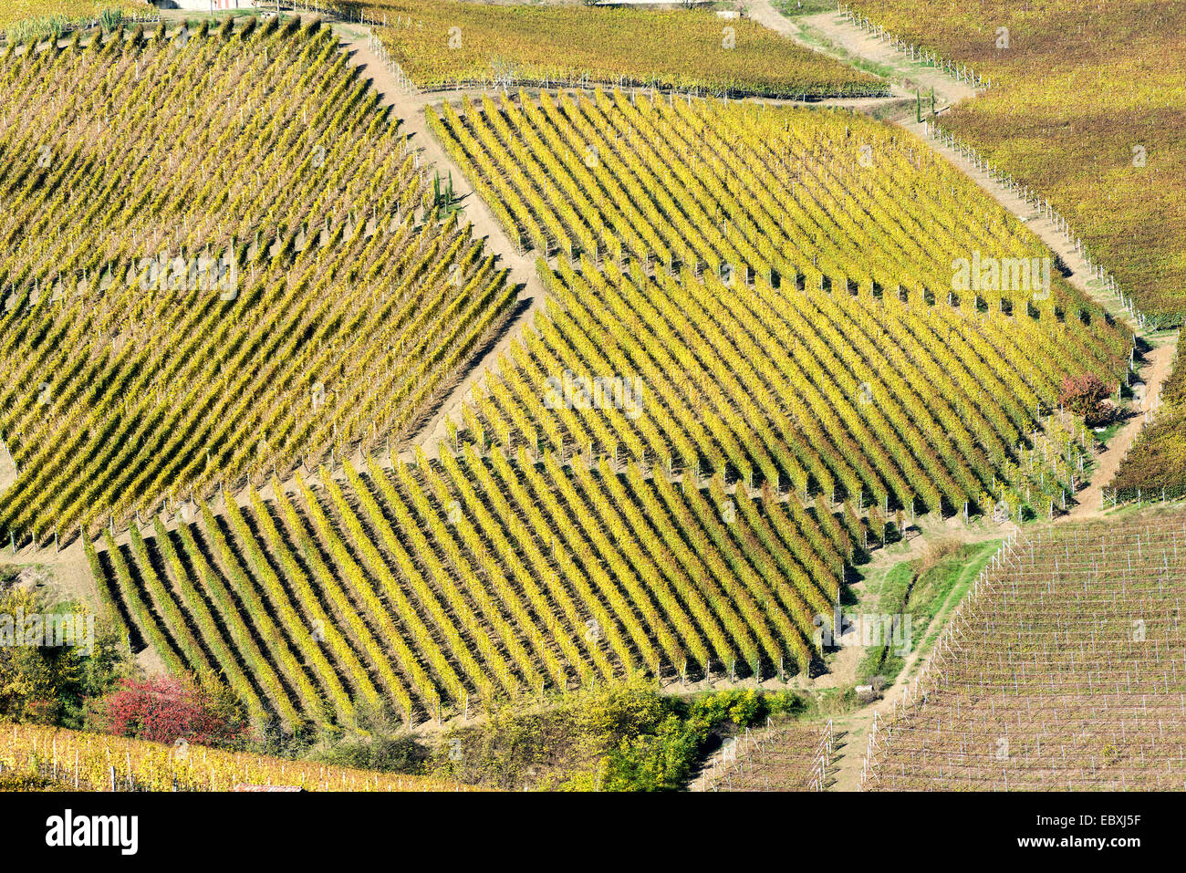 L'Italia, panorama di vigneti del Piemonte: Langhe-Roero e Monferrato nella Lista del Patrimonio Mondiale UNESCO Foto Stock