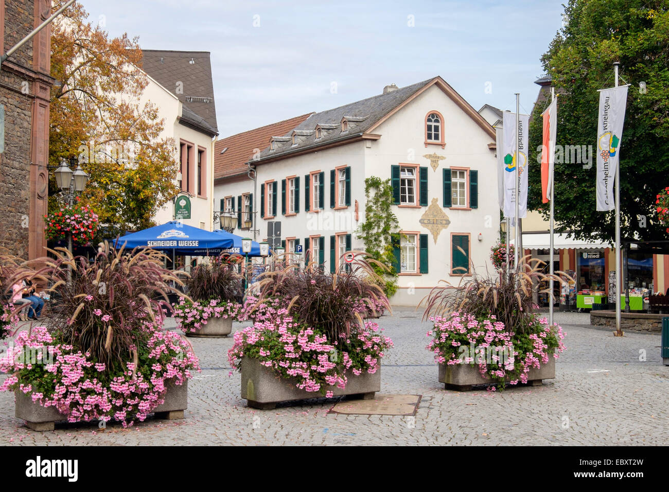 Le piantatrici di fiori in le stradine acciottolate della città vecchia piazza. Rudesheimer Strasse, Geisenheim, Hesse, Germania, Europa Foto Stock