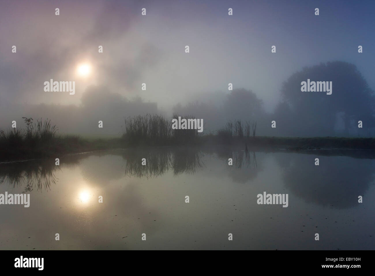 Sunrise nella nebbia di mattina al Lago Poehl, in Germania, in Sassonia, Vogtlaendische Schweiz Foto Stock